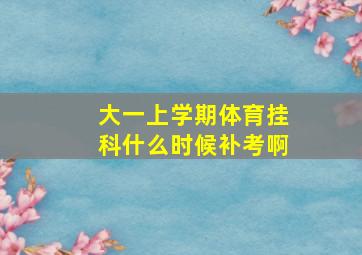 大一上学期体育挂科什么时候补考啊