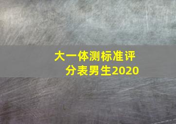 大一体测标准评分表男生2020