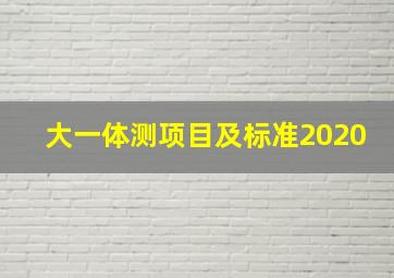 大一体测项目及标准2020