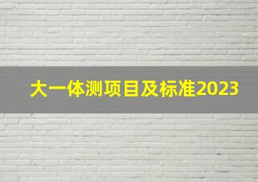 大一体测项目及标准2023