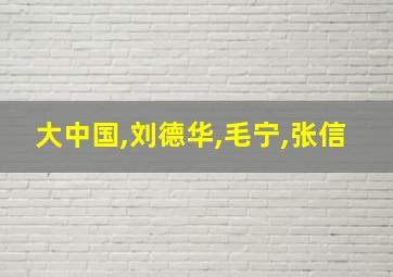 大中国,刘德华,毛宁,张信