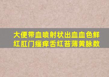 大便带血喷射状出血血色鲜红肛门瘙痒舌红苔薄黄脉数