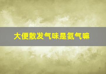 大便散发气味是氨气嘛