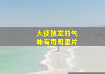 大便散发的气味有毒吗图片