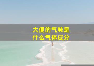 大便的气味是什么气体成分