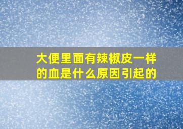 大便里面有辣椒皮一样的血是什么原因引起的