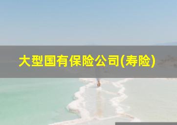 大型国有保险公司(寿险)