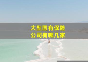 大型国有保险公司有哪几家