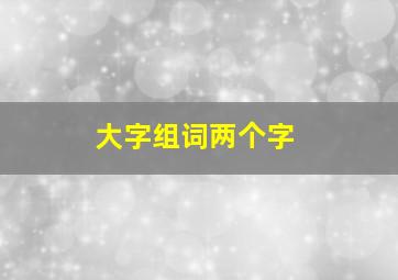 大字组词两个字