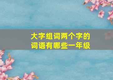 大字组词两个字的词语有哪些一年级