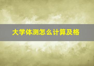 大学体测怎么计算及格