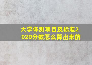 大学体测项目及标准2020分数怎么算出来的