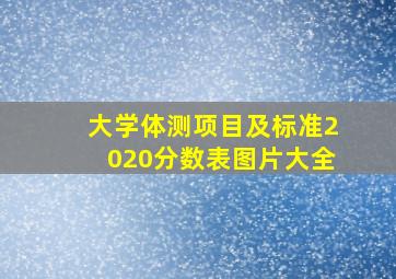 大学体测项目及标准2020分数表图片大全