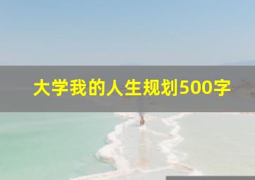 大学我的人生规划500字