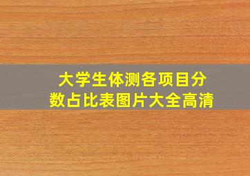 大学生体测各项目分数占比表图片大全高清