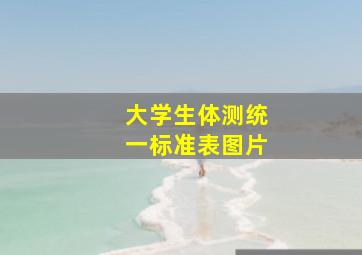 大学生体测统一标准表图片