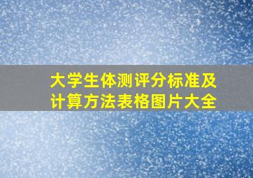 大学生体测评分标准及计算方法表格图片大全