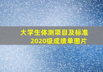 大学生体测项目及标准2020级成绩单图片