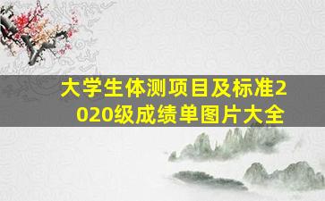 大学生体测项目及标准2020级成绩单图片大全