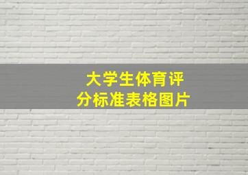 大学生体育评分标准表格图片