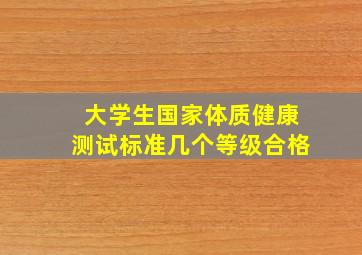 大学生国家体质健康测试标准几个等级合格