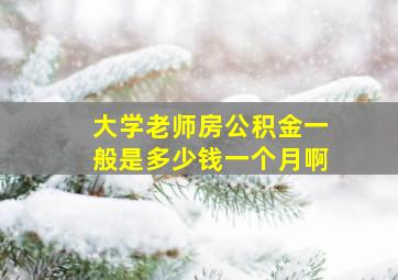 大学老师房公积金一般是多少钱一个月啊