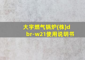 大宇燃气锅炉(株)dbr-w21使用说明书