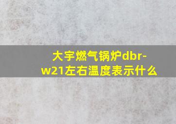 大宇燃气锅炉dbr-w21左右温度表示什么