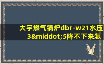 大宇燃气锅炉dbr-w21水压3·5降不下来怎么办