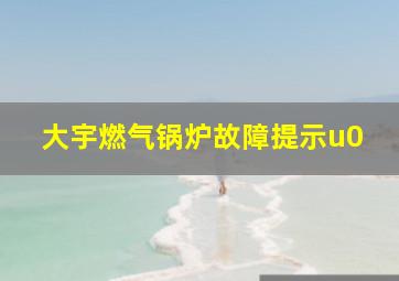 大宇燃气锅炉故障提示u0