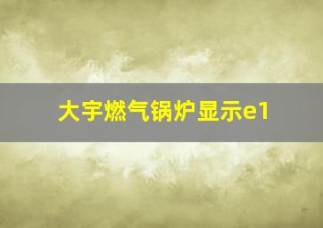 大宇燃气锅炉显示e1