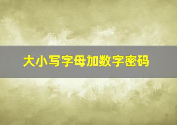 大小写字母加数字密码