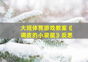 大班体育游戏教案《调皮的小袋鼠》反思