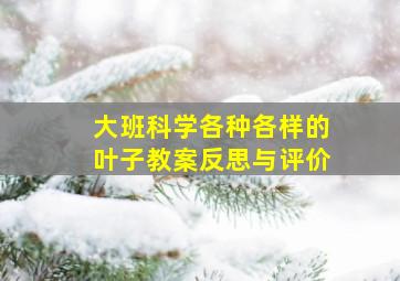 大班科学各种各样的叶子教案反思与评价