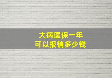 大病医保一年可以报销多少钱