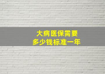 大病医保需要多少钱标准一年