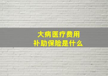 大病医疗费用补助保险是什么