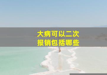 大病可以二次报销包括哪些