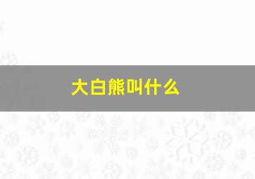 大白熊叫什么