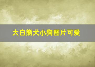 大白熊犬小狗图片可爱