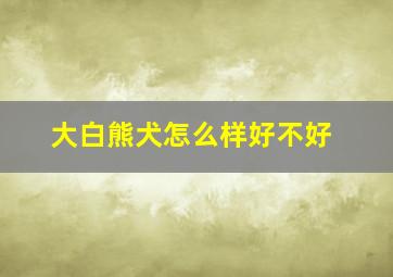 大白熊犬怎么样好不好