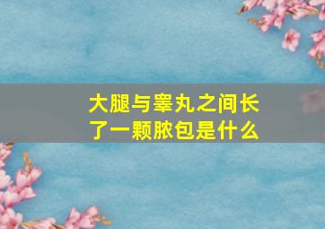 大腿与睾丸之间长了一颗脓包是什么