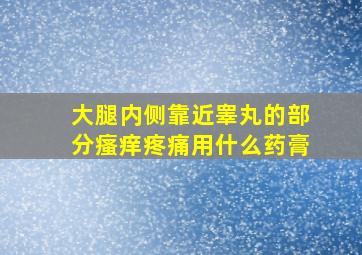 大腿内侧靠近睾丸的部分瘙痒疼痛用什么药膏