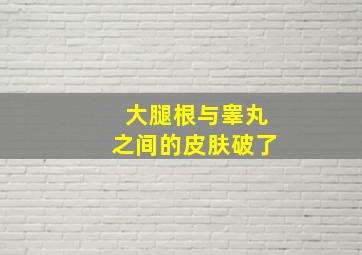 大腿根与睾丸之间的皮肤破了