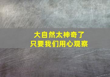 大自然太神奇了只要我们用心观察