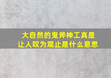 大自然的鬼斧神工真是让人叹为观止是什么意思