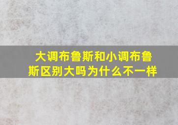 大调布鲁斯和小调布鲁斯区别大吗为什么不一样