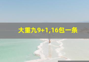 大重九9+1,16包一条