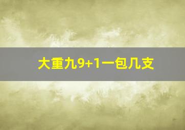 大重九9+1一包几支