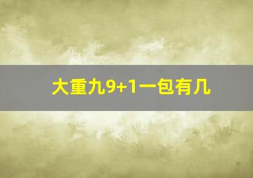 大重九9+1一包有几